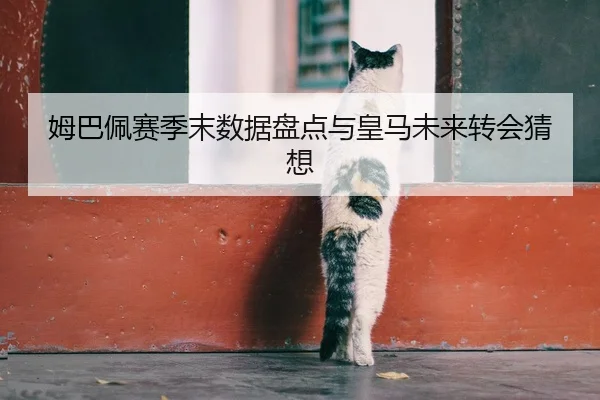 姆巴佩赛季末数据盘点与皇马未来转会猜想