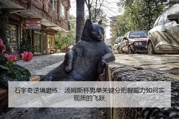 shi-yu-qi-ni-jing-mo-lian-tang-mu-si-bei-nan-dan-guan-jian-fen-ba-wo-neng-li-ru-he-shi-xian-zhi-di-fei-yue-2-313.jpg