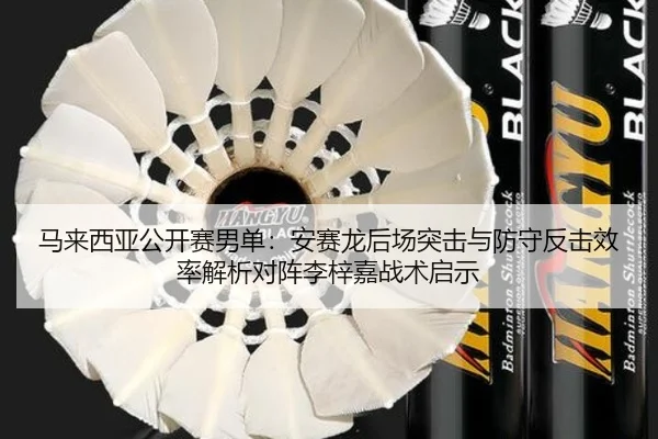 ma-lai-xi-ya-gong-kai-sai-nan-dan-an-sai-long-hou-chang-tu-ji-yu-fang-shou-fan-ji-xiao-lv-jie-xi-dui-zhen-li-zi-jia-2-465.jpg
